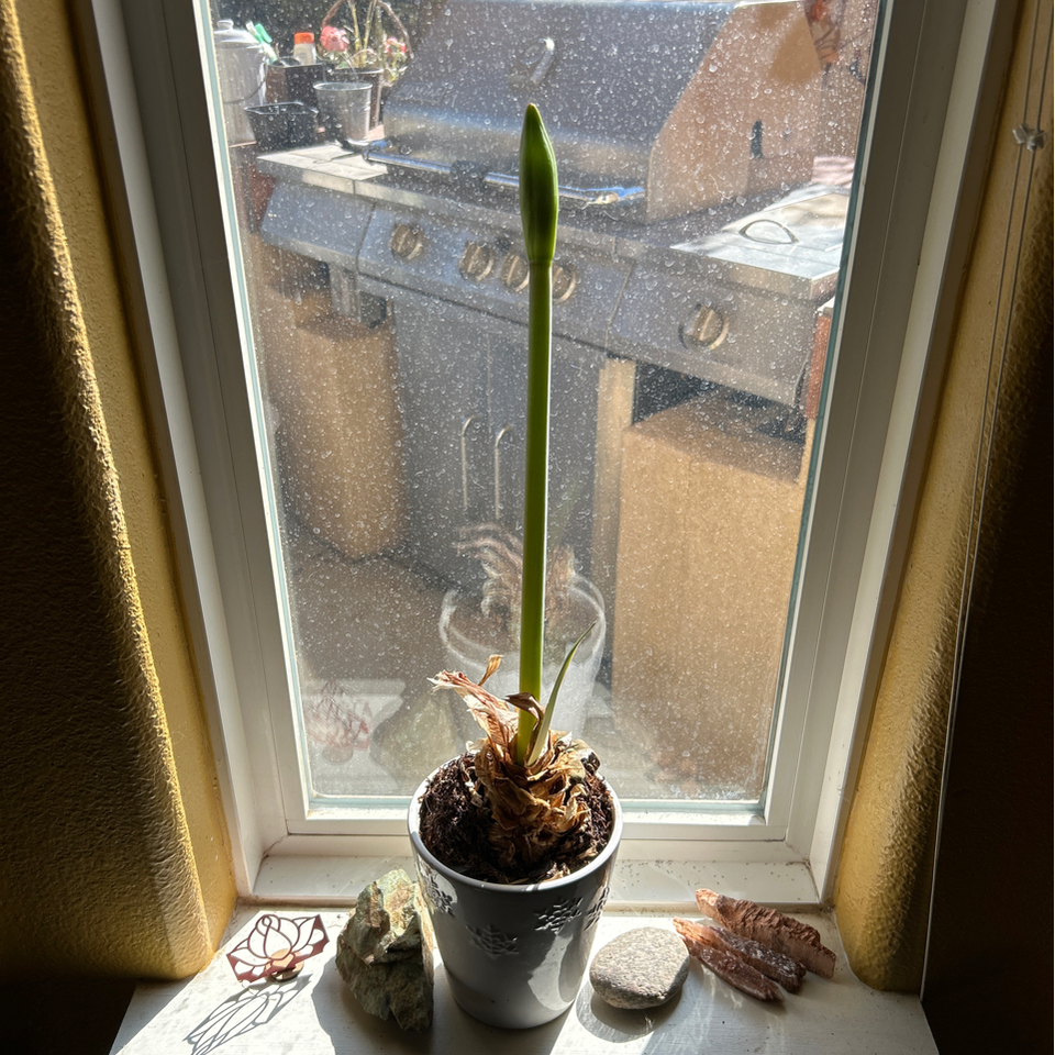 Sheâ€™s growing fast!