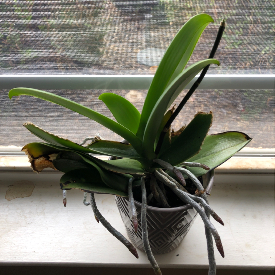 Keep going, little one!